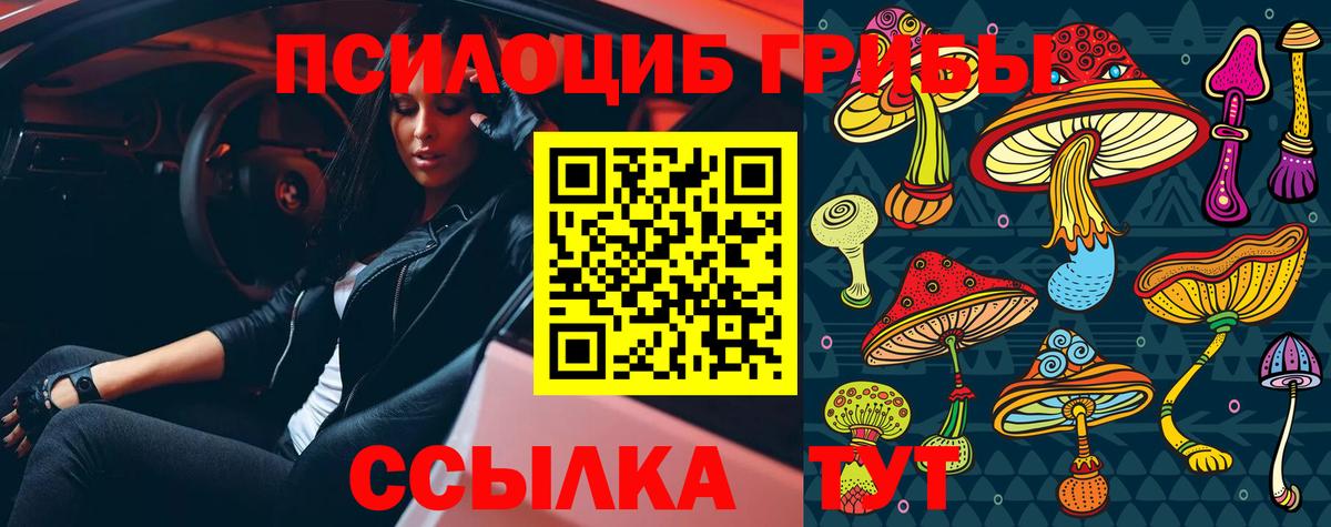 Псилоцибиновые грибы мухоморы Новоалександровск