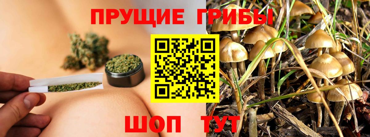 Галлюциногенные грибы Magic Shrooms  Вход с VPN  Новоалександровск 